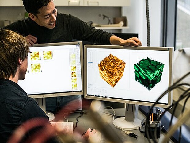 Investigation of a solid-state battery using 3D mass spectrometry to understand function and ageing.